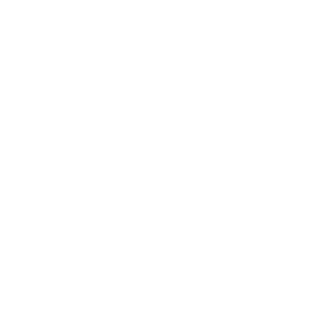 INASE