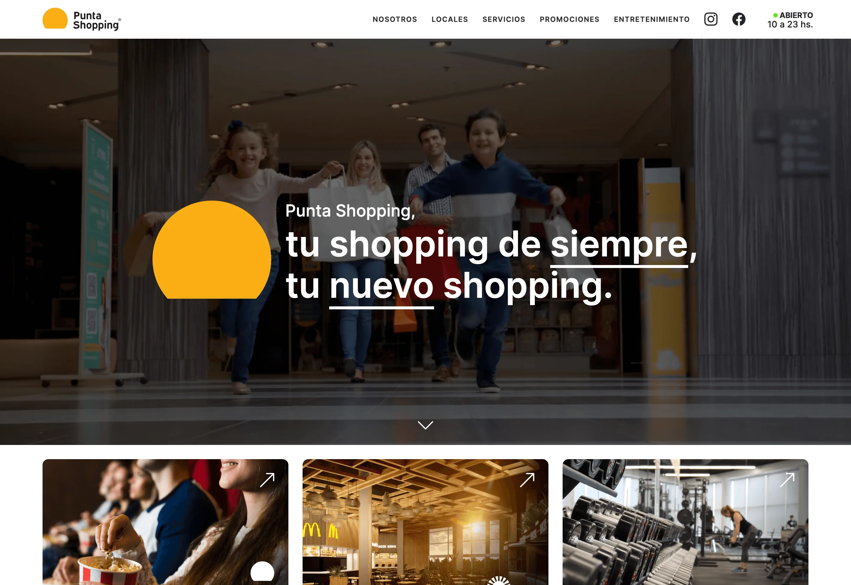 Sitio web Punta Shopping